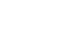 All in_Logo Goldene Beruhrung